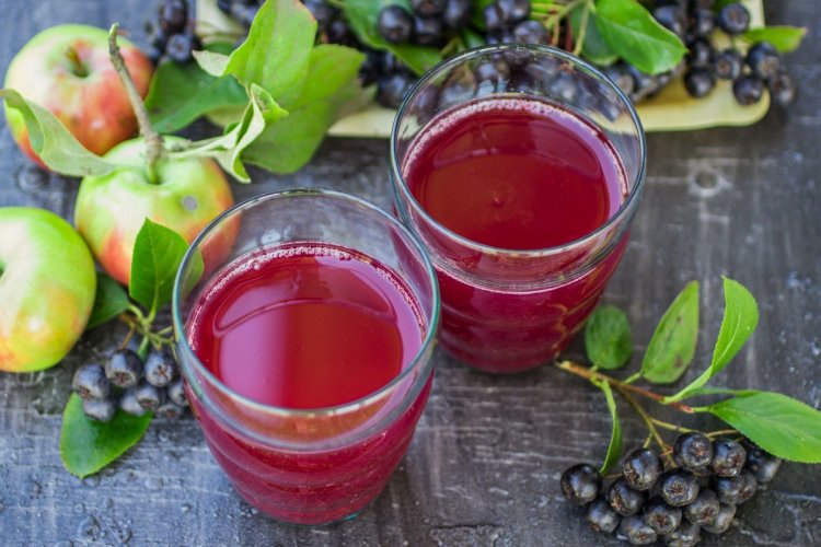 15 лучших рецептов компота из черноплодной рябины