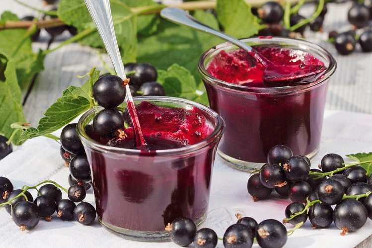 Желе из черной смородины с желатином без варки