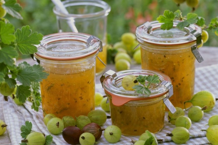 Желе из крыжовника с косточками