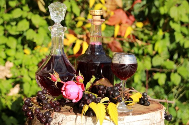 Быстрое вино из черноплодной рябины