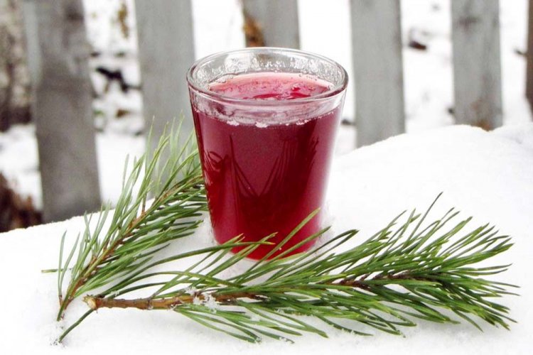 Быстрый рецепт наливки из красной смородины