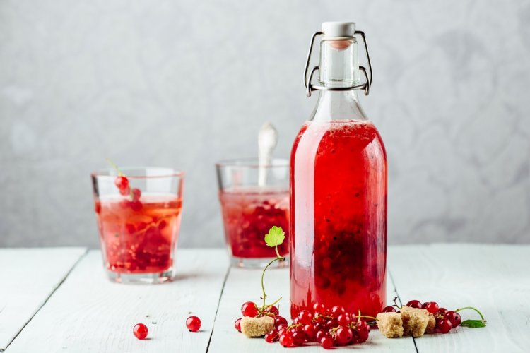 12 простых рецептов ликера из красной смородины