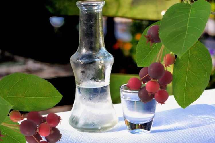 Настойка из цветков ирги