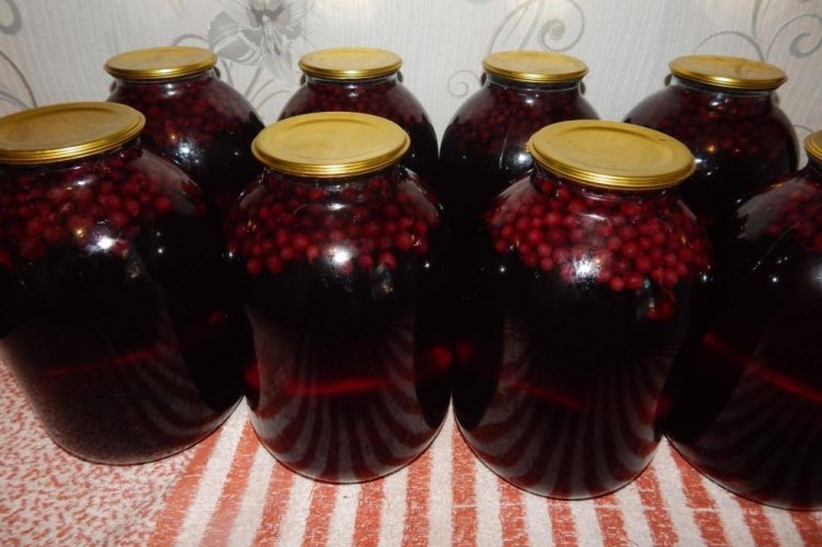 Компот из чернослива и смородины