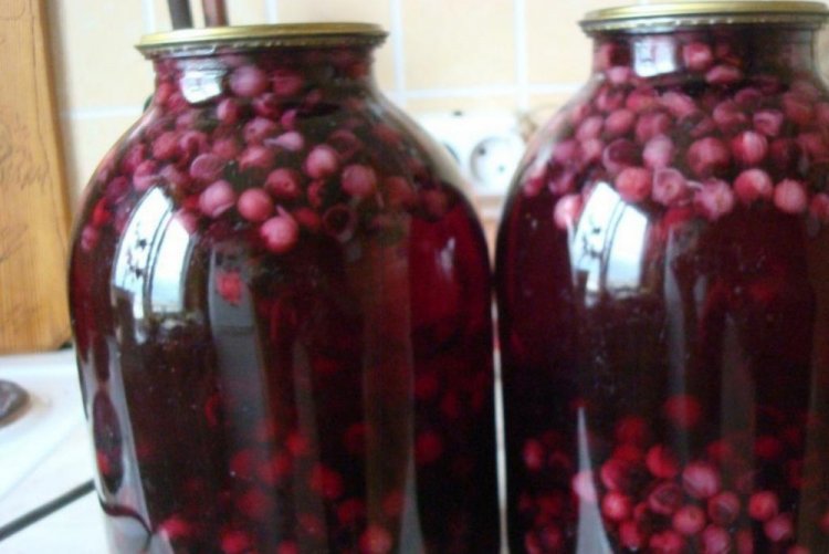 Компот из ирги и черной смородины