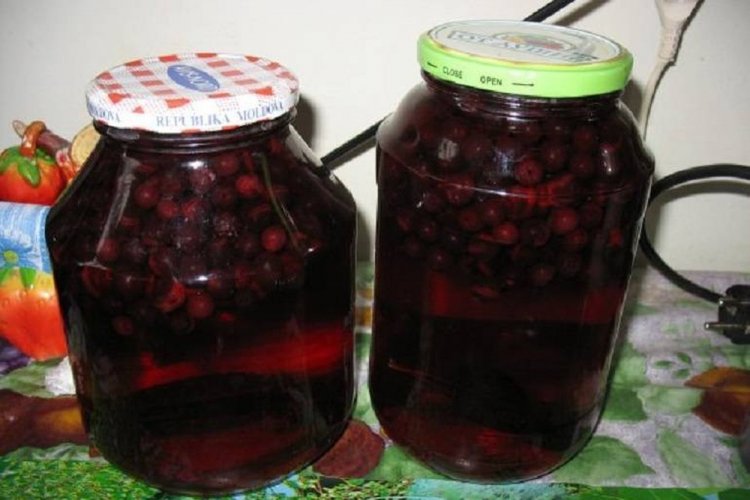 Компот из терна и черноплодной рябины на зиму