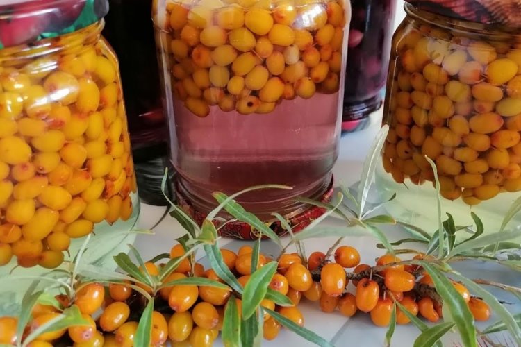 Компот из облепихи на зиму