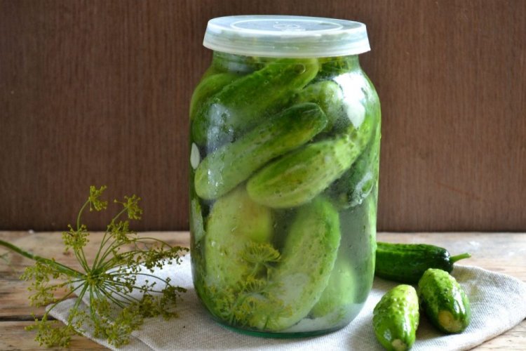 Огурцы с укропом, заготовленные холодным способом на зиму