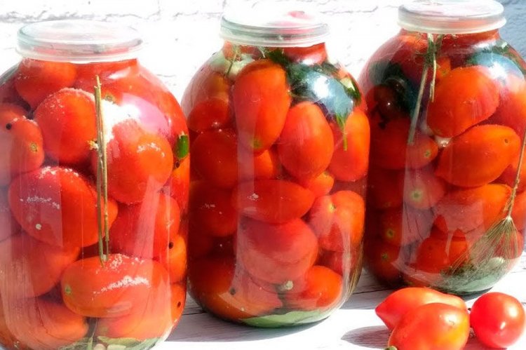 Квашеные помидоры в банке на зиму
