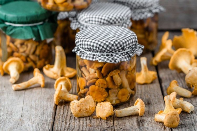 Маринованные лисички с уксусом