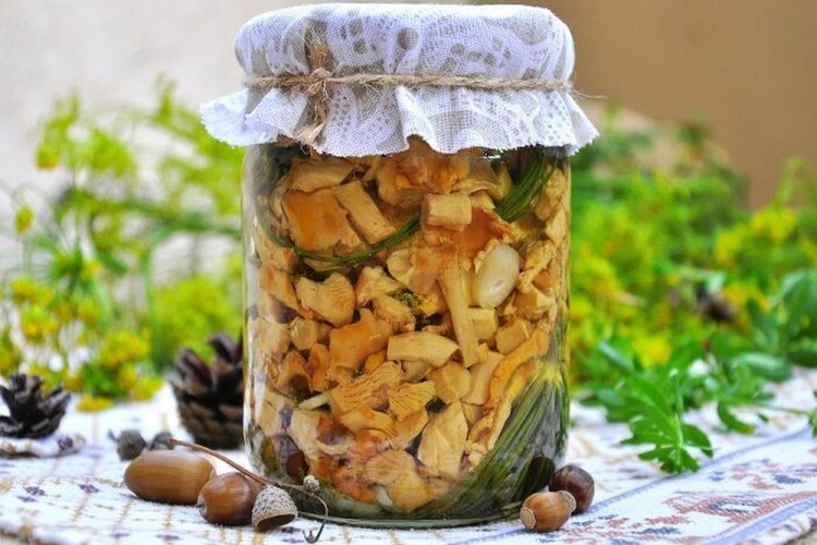 Измельченные лисички, маринованные с укропом и чесноком