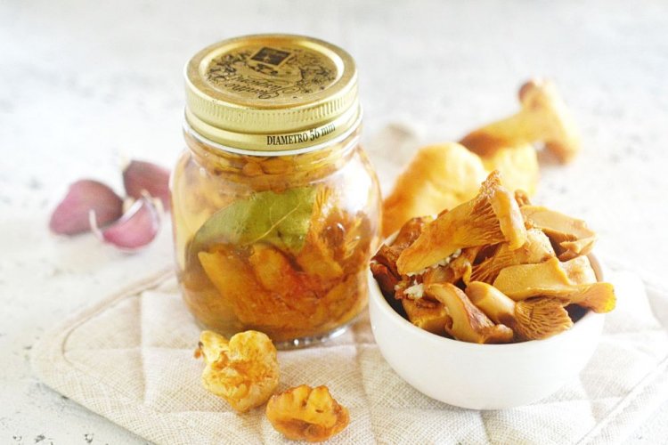 Лисички, маринованные с чесноком в масле