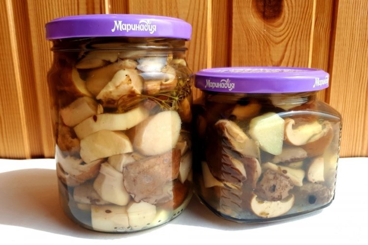 Маринованные белые грибы без уксуса