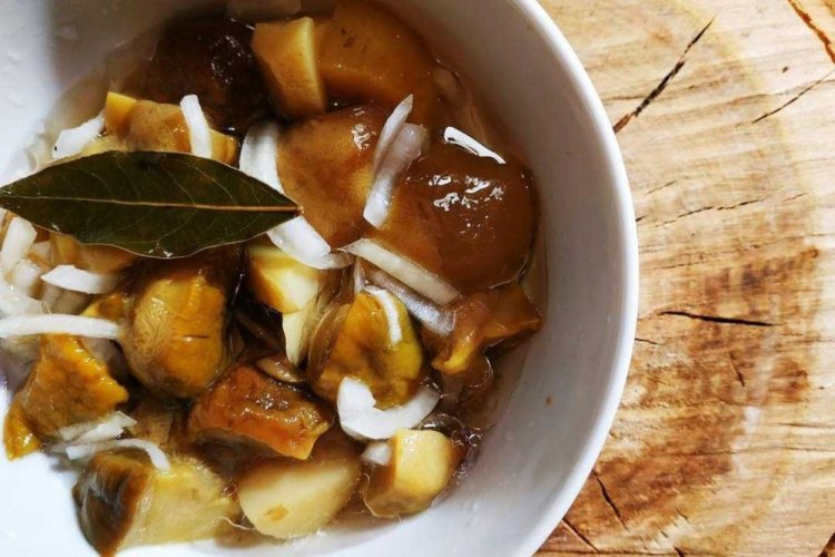 Маринованные белые грибы с луком на зиму