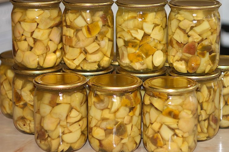 Маринованные белые грибы с горчицей на зиму