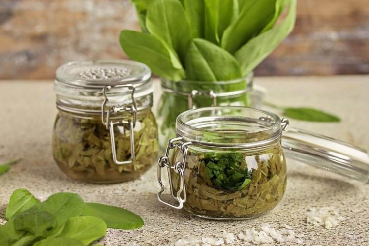 Щавель на зиму без уксуса и соли