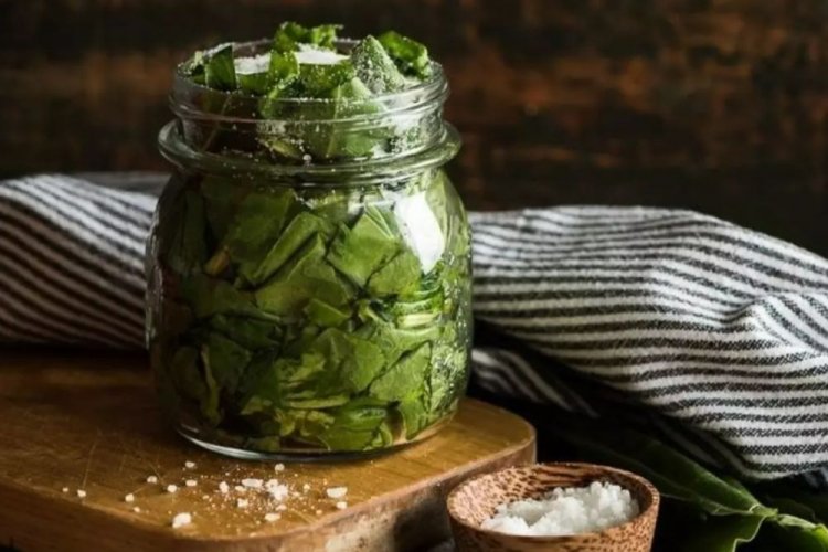 Сухая засолка щавеля на зиму