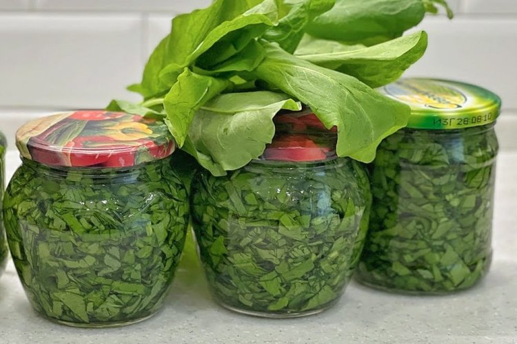 Щавель с лимонной кислотой на зиму