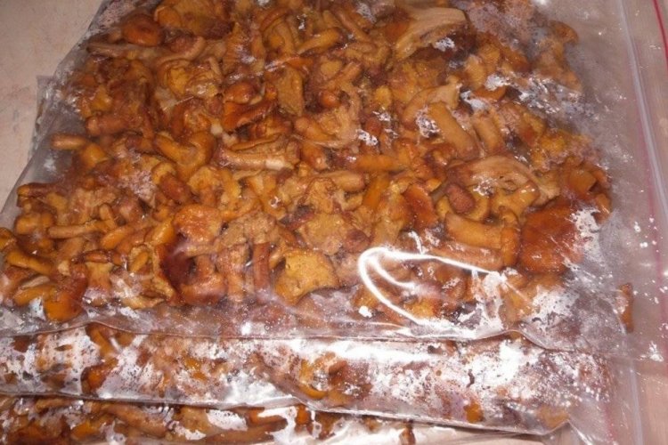 Жареные лисички в морозилке