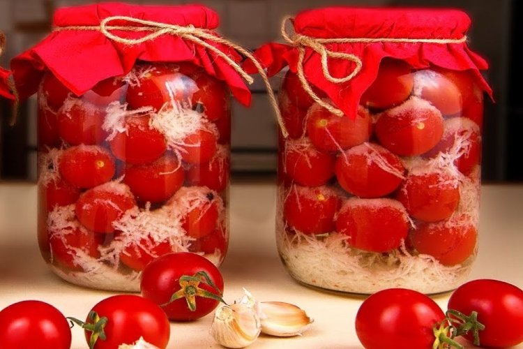 Помидоры в снегу с чесноком и корнем петрушки