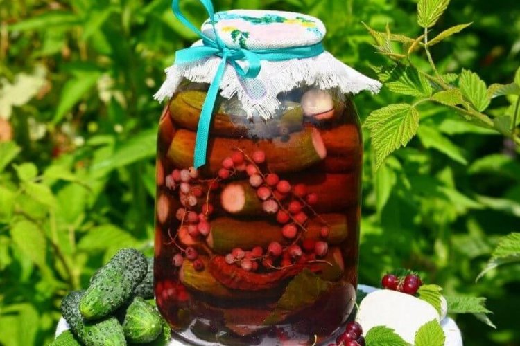 Огурцы по-болгарски с красной смородиной и острым перцем
