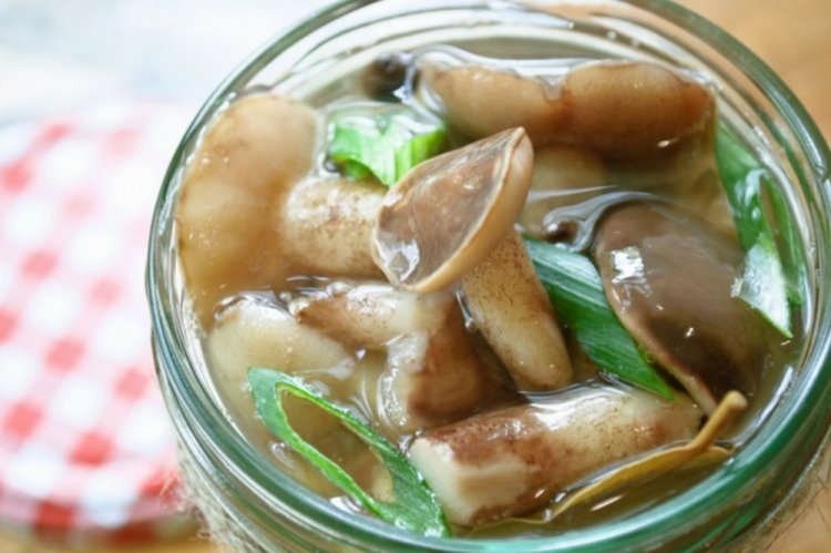 Маринованные маслята с корнем хрена на зиму