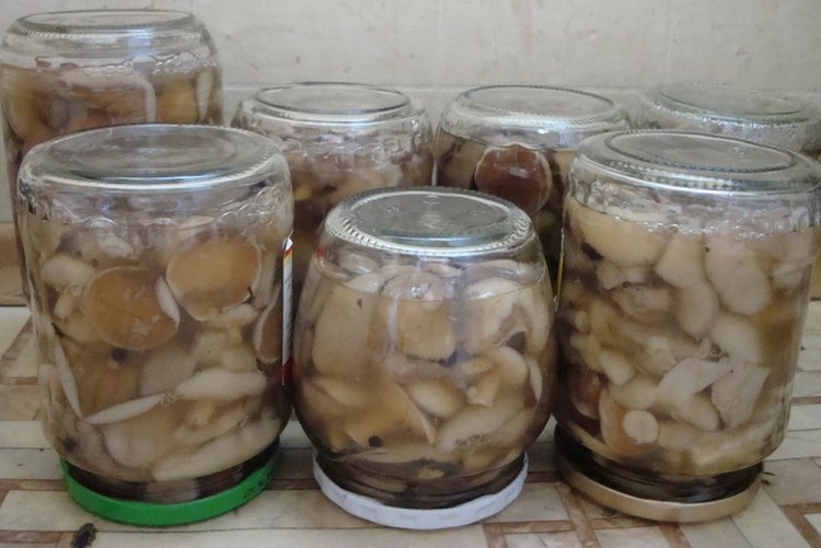 Маринованные маслята с сахаром на зиму
