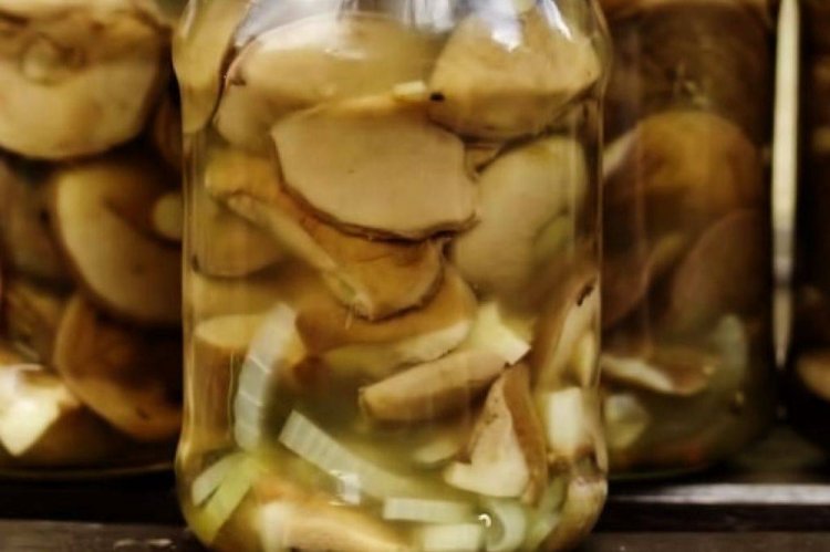 Маринованные маслята с луком на зиму
