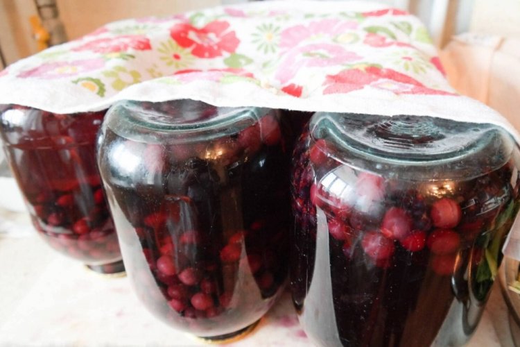 Компот из арбуза и вишни на зиму