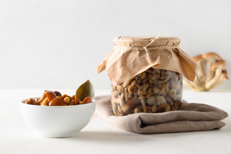 Маринованные опята на зиму