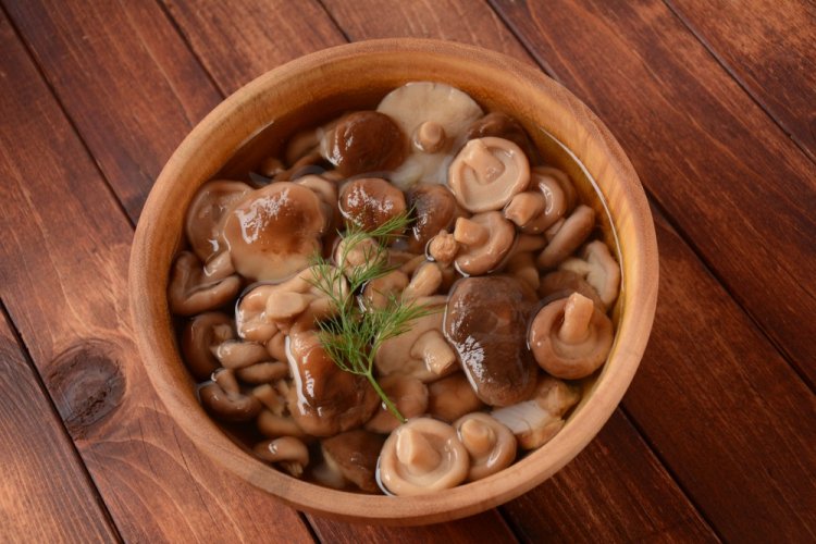 Опята с лимонной кислотой на зиму