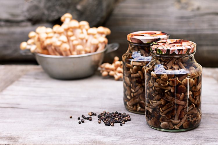 Жареные опята на зиму