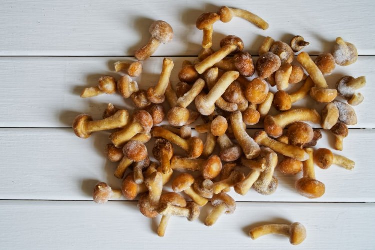 Замороженные опята на зиму