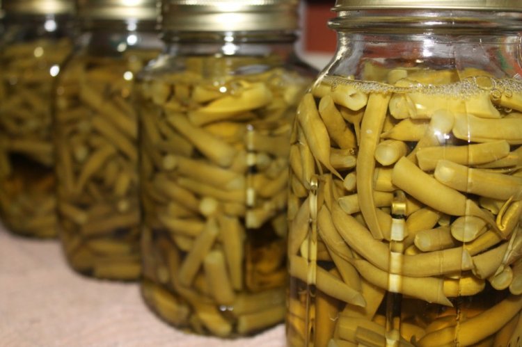 Маринованная стручковая фасоль