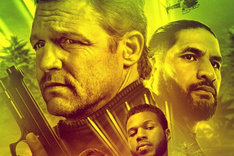 Последнее дело