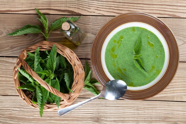 Крем-суп из крапивы с плавленым сыром