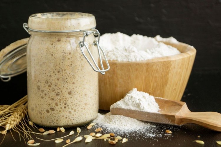 Закваска из ржаной муки с солодом и свежими дрожжам