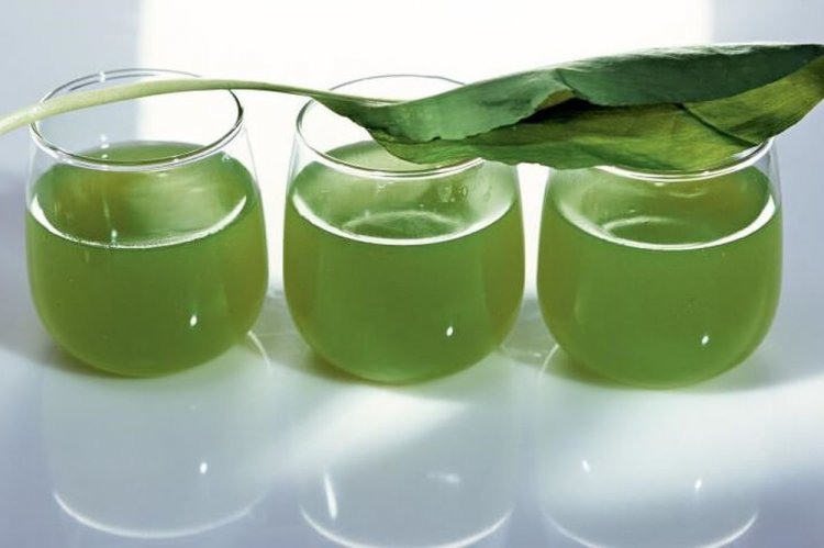 Компот из щавеля