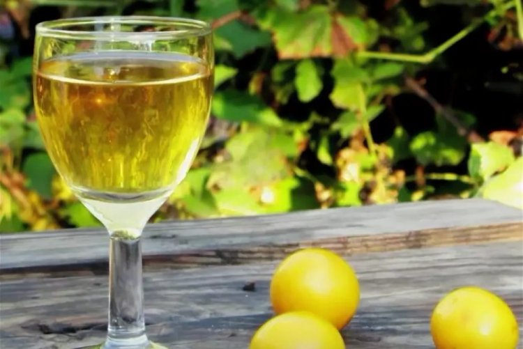 Настойка из желтой сливы на водке