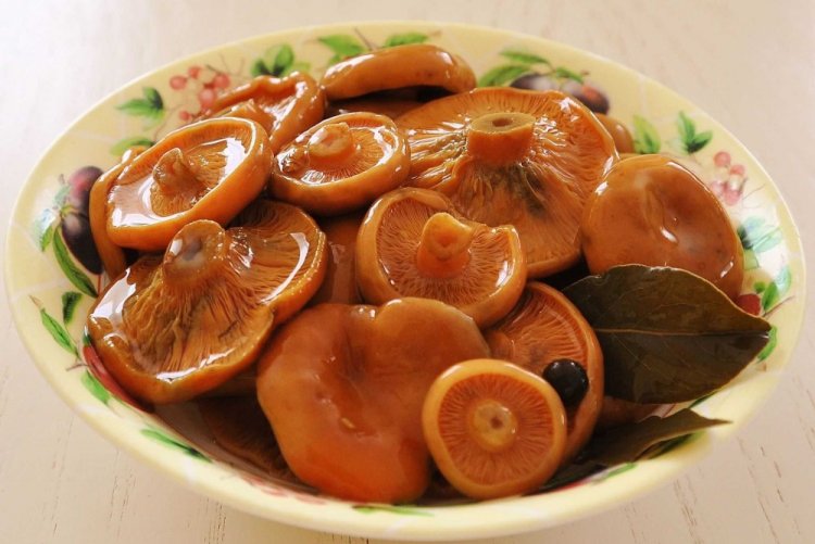 Соленые рыжики без уксуса на зиму