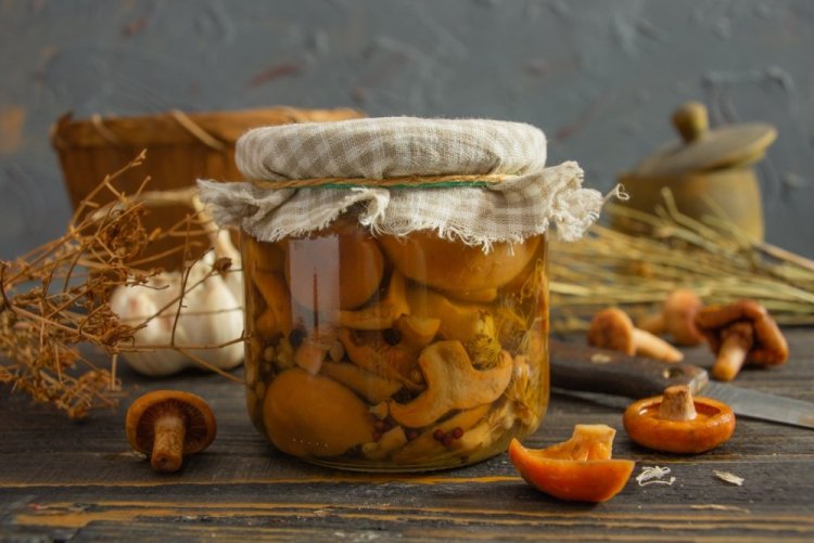 Соленые рыжики в банках на зиму