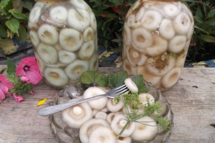 Маринованные грузди с уксусом