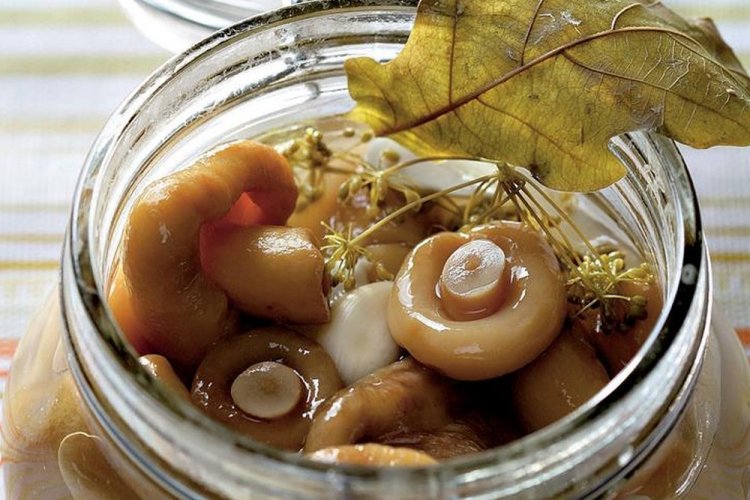 Острые грузди с имбирем