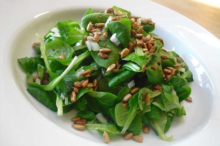 Зеленый салат к шашлыку