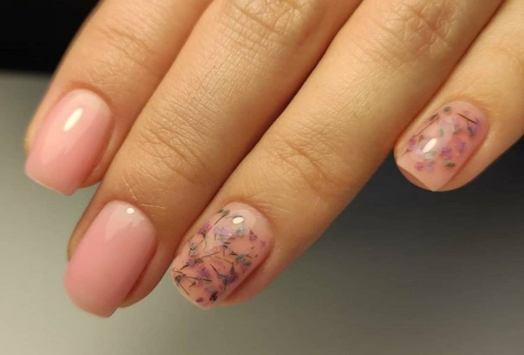 Сухоцветы на короткие ногти