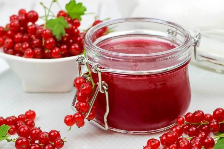 Желе из красной смородины на зиму