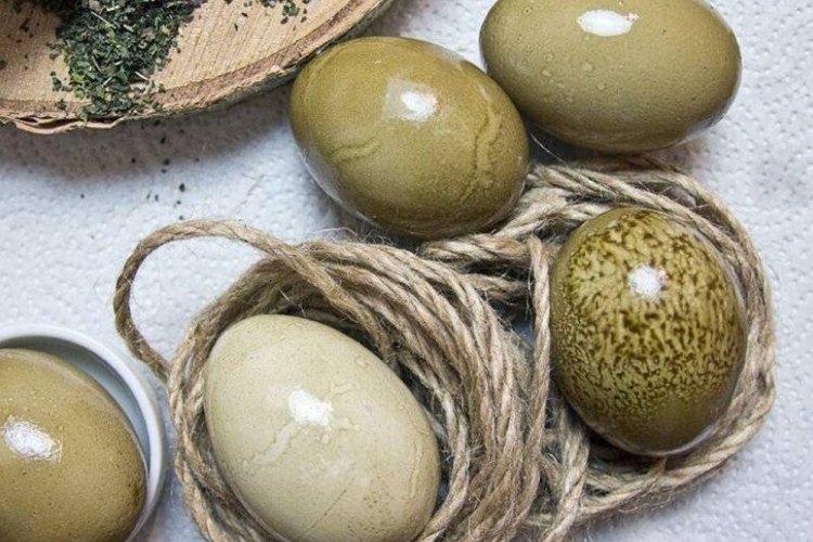 Как покрасить яйца шпинатом