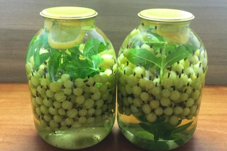 Мохито из крыжовника на зиму