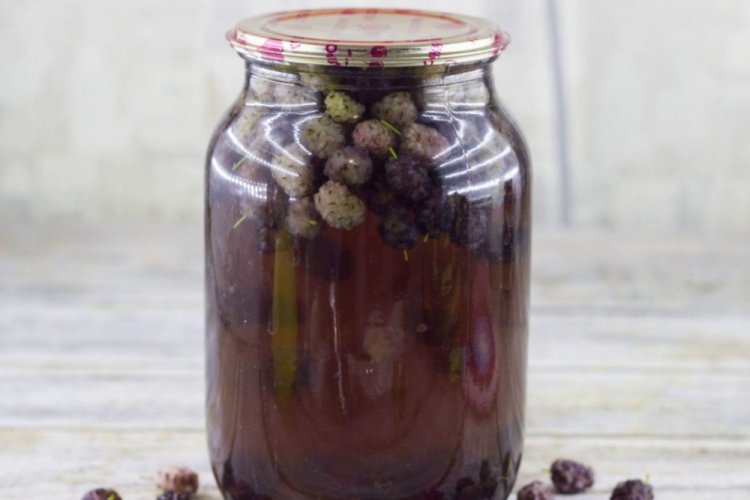 Компот из шелковицы на зиму