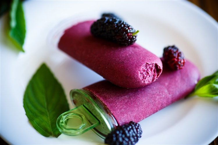 Мороженое из йогурта и шелковицы